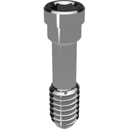 Picture for category Screws